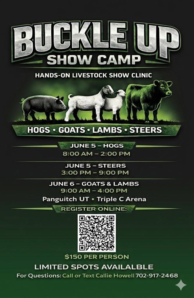 Buckle Up Show Camp